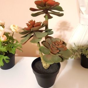 Set of Two Large 3 Headed Faux Succulent